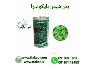 بذر شبدر زینتی دایکوندرا،فروش کیلویی بذر شبدر خارجی