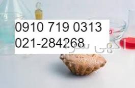 پروتئین وی دیجی کالا