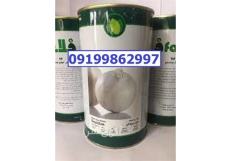 بذر پیاز سپیدان پرفروش