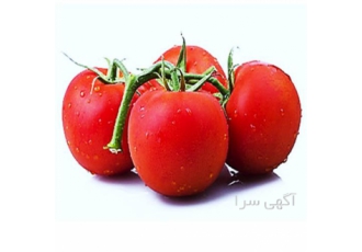بذر گوجه گلخانه ای کومودو