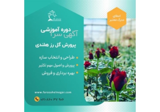 دوره آموزش حضوری و آنلاین کاشت هیدروپونیک گل رز