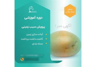دوره آموزشی پرورش سیب زمینی در تهران دوره آموزشی پرورش سیب زمینی دو روز