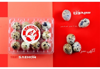 فروش شانه تخم بلدرچین ۱۲ عددی و بسته بندی تخم مرغ در تهران صنایع بسته