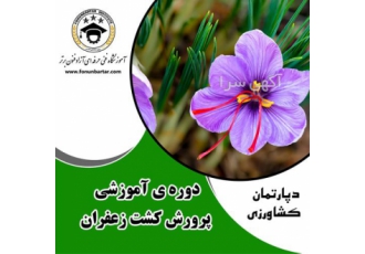 دوره تخصصی آموزش کشت زعفران در اصفهان در این دوره شما با مفاهیم و مبانی