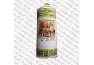 بذر خربزه جالیز روزن سید کیفیت برتر و صادراتی در زابل بذر خربزه جالیز