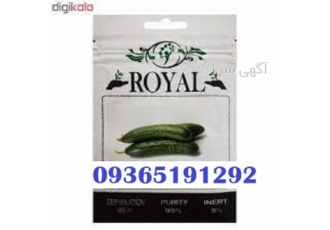 رویال بذر خیار میوه یا پر بار