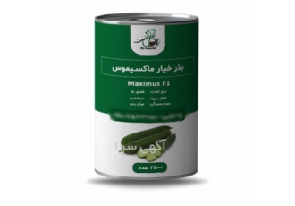 فروش عمده بذر خیار ماکسیموس در اصفهان بذر خیار ماکسیموس برای خرید بذر