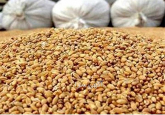 خرید فروش سویا دامی مرغوب و اعلا در تهران خرید و فروش سویا دامی مرغوب