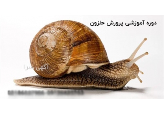 دوره آموزشی پرورش حلزون خوراکی درمانی در تهران 2 روز آموزش صفر تا صد