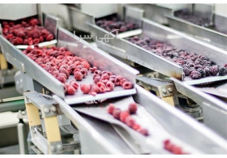 ارائه خدمات برای بهترین خط تولید مواد غذایی در تهران تولید مواد غذایی