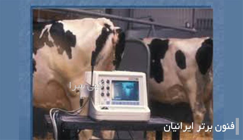 دستگاه سونوگرافی دامپزشکی v9