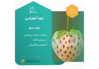 دوره آموزشی پرورش پاین بری