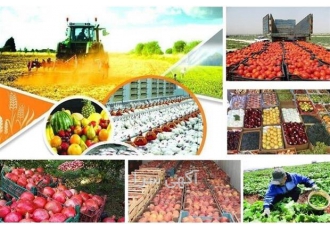 دوره آموزش بسته بندی محصولات کشاورزی در اصفهان دوره بسته بندی محصولات