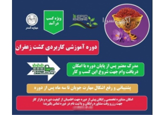 آموزش کشت زعفران در اصفهان امکان مشاوره تخصصی رایگان برای مهارت جویان