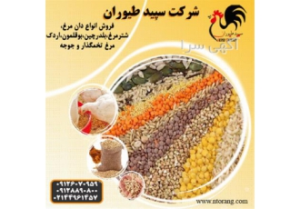 فروش انواع دان طیور و خوراک طیور در تهران فروش انواع دان طیور و خوراک