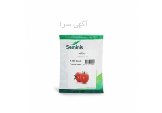 فروش بذر گوجه فرنگی ، بدرو انواع بذر