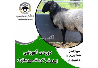 برگزاری دوره آموزشی پرواربندی گوسفند و بز