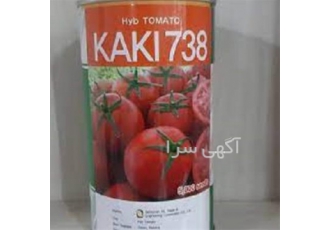 بذر گوجه فرنگی مقاوم کاکی - بذر گوجه فرنگی کاکی