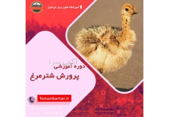 دوره آموزش پرورش شترمرغ در اصفهان دوره آموزش پرورش شترمرغ طرح پرورش شتر