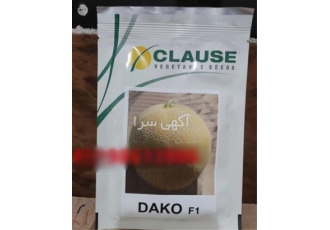 بذر خربزه داکو - بذر خربزه خاتون - جانا ، f1