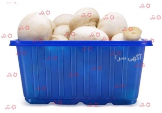 فروش عمده ظرف قارچ در انواع مدل ها و ظرفیت ها ۲۰۰ تا ۱۰۰۰ گرمی در تهران