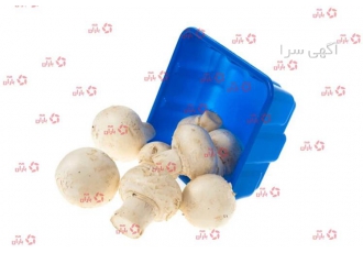 ظرف بسته بندی قارچ ۲۰۰ گرمی/۴۰۰ گرمی در اردبیل فروش ظرف قارچ در انواع