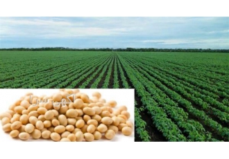 فروش روغن سویا فروش روغن خام سویا در ارومیه فروش روغن سویا فروش روغن