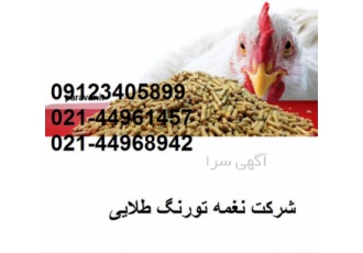 قیمت جوجه مرغ تخمگذار - طیور