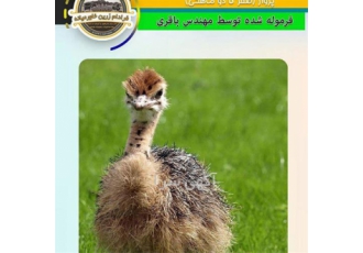 آموزش پرورش شتر مرغ - آموزش یک روزه پرورش شترمرغ