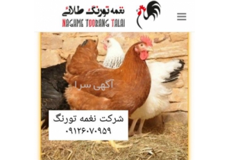 فروش انواع نیمچه طیور در تهران فروش انواع نیمچه مرغ با کیفیت بالا