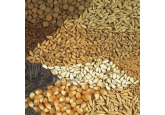 قیمت خوراک طیور با فرمولیسیون