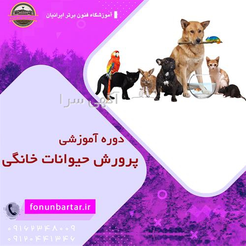 دامپزشکی حیوانات خانگی