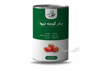 فروش بذر گوجه تیوا با کیفیت بالا و قیمت مناسب