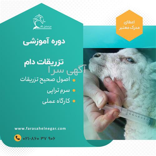 فروشگاه معین دام یزد