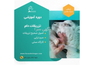 کارگاه آموزشی تزریقات دام بزرگ و کوچک در تهران گاهی بدلیل شرایط خاص