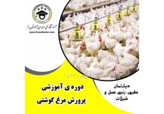 دوره آموزشی پرورش مرغ مادر در اصفهان کسب و کار پرورش مرغ تخم گذار صنعتی
