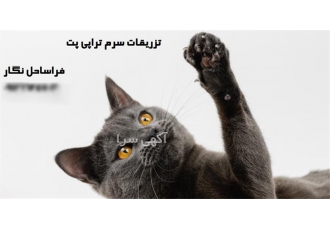کلاس آموزشی سرم زدن به حیوانات در تهران تزریقات به سگ و گربه تزریقات