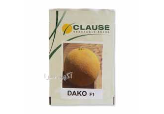 فروش و عرضه بذر ملون داکو با عملکرد بالا در یزد بذر ملون داکو
