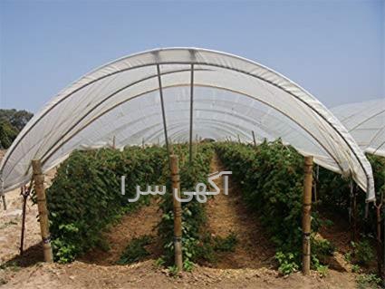 تجهیزات گلخانه هیدروپونیک