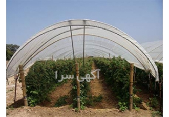 آموزش محصولات گلخانه ای هیدروپونیک