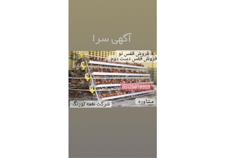 فروش قفس مرغ تخمگذار نو و دست دوم طیور در تهران شرکت نغمه تورنگ