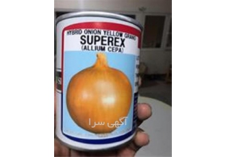 فروش بذر پیاز تاکی