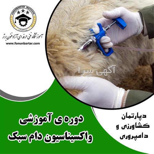 دستگاه سونوگرافی دامپزشکی v9
