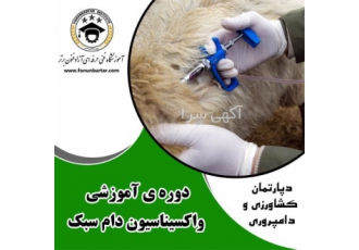 دوره سونوگرافی دام سبک سنگین در اصفهان #128313 امروزه با توجه