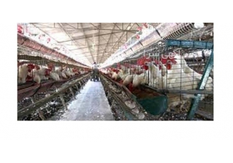 فروش آسیاب میکسر ، آبخوری ، دانخوری های بشقابی