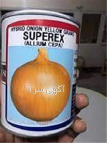 دامپزشکی رکس