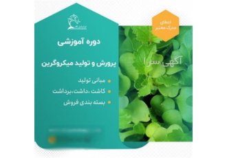 آموزش رشد و برداشت میکرو گرین های خانگی در تهران آموزش جامع رشد و آموزش