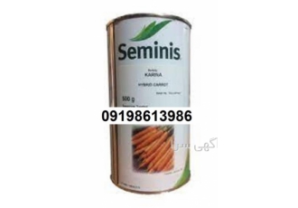 بذر هویج کارینا با کیفیت و اصل