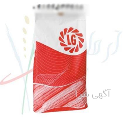 کارواش صنعتی سینگل مدل yl100l