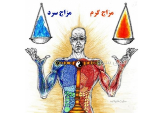 دوره آموزش مزاج شناسی و زبان شناسی جامع و کامل